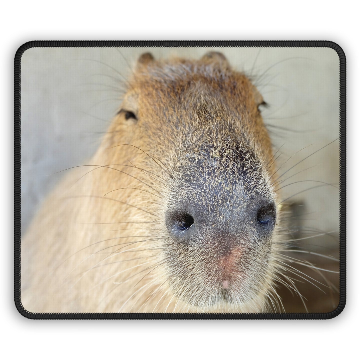 Capybara Close-Up Mouse Pad – Zoomed In. Zen’d Out.